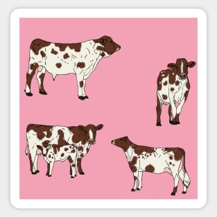 Ayrshire Cows Pattern Pink Sticker